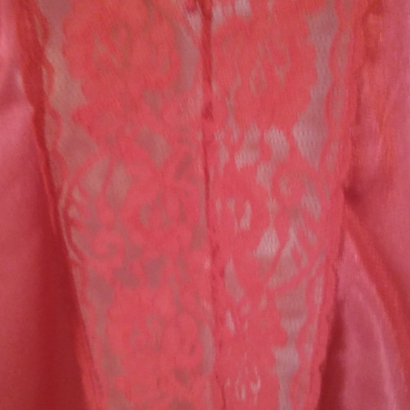 Teddy - Picture 5 of 8